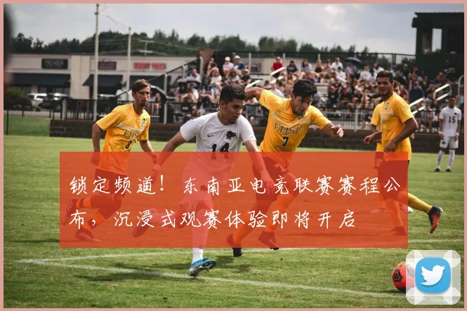 锁定频道!东南亚电竞联赛赛程公布,沉浸式观赛体验即将开启